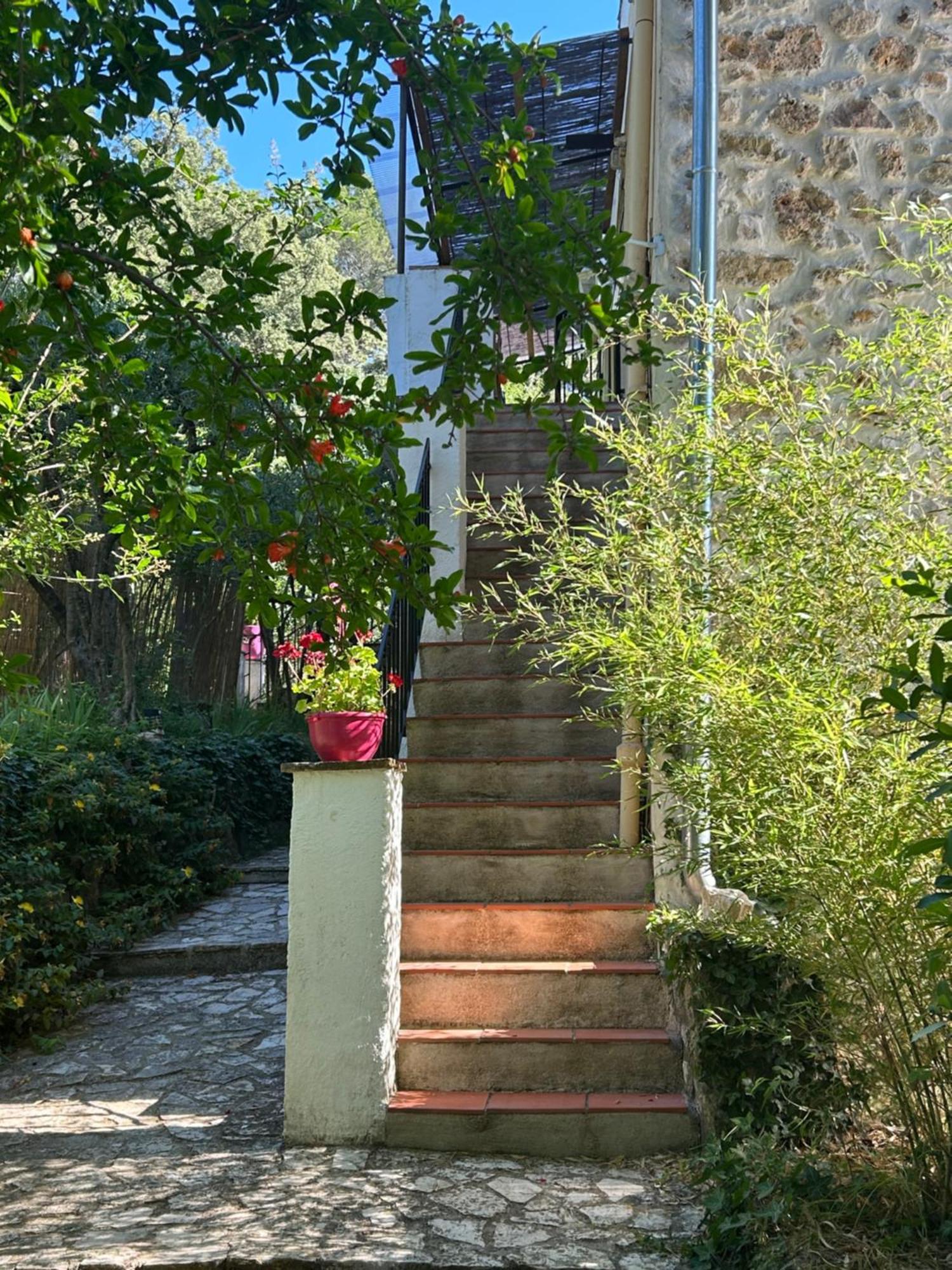 Bastide Des Hesperides Appartement Flayosc Buitenkant foto